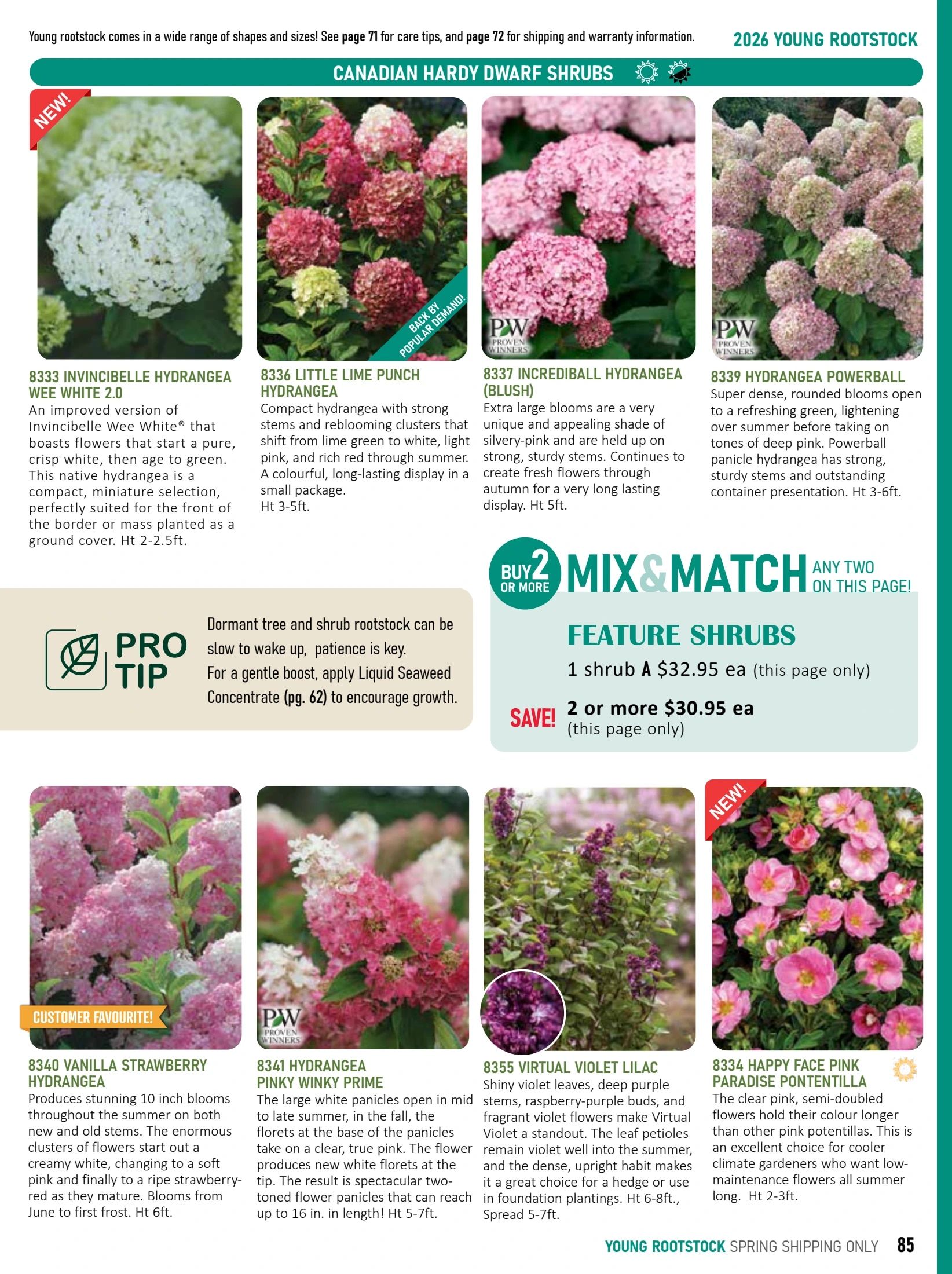 T&T Seeds Catalogue Flyer January 1 - December 31, 2026