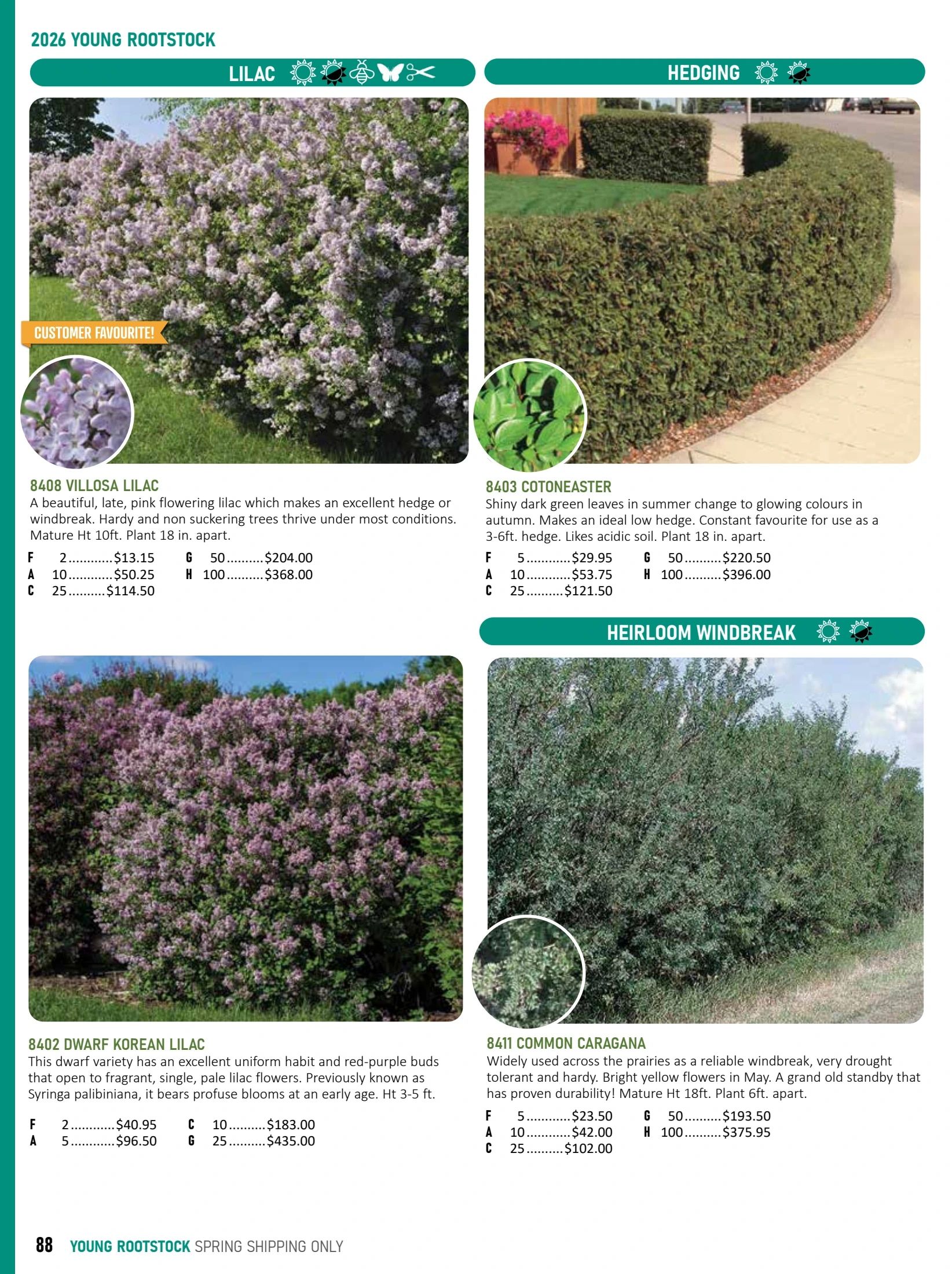 T&T Seeds Catalogue Flyer January 1 - December 31, 2026