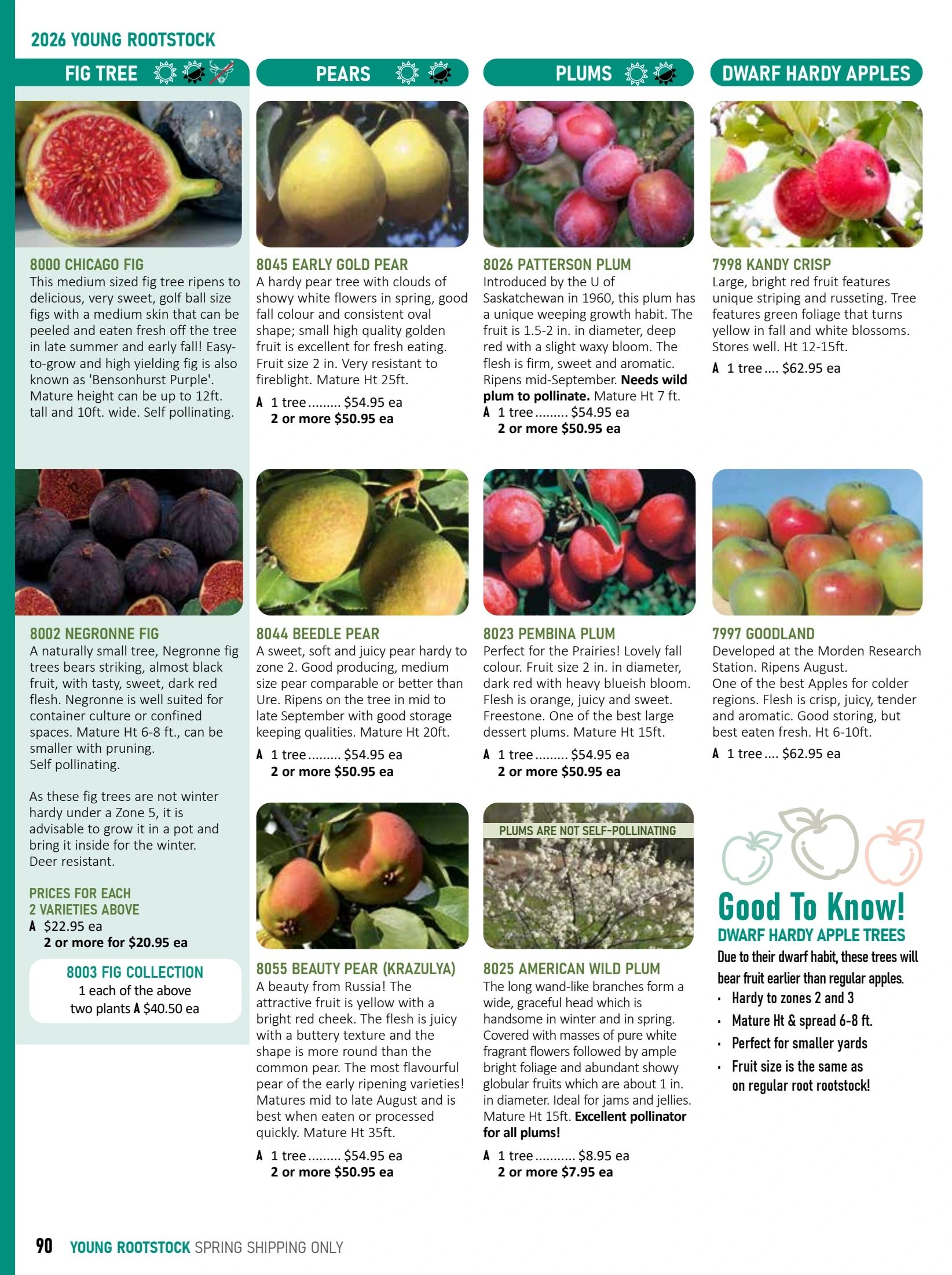 T&T Seeds Catalogue Flyer January 1 - December 31, 2026