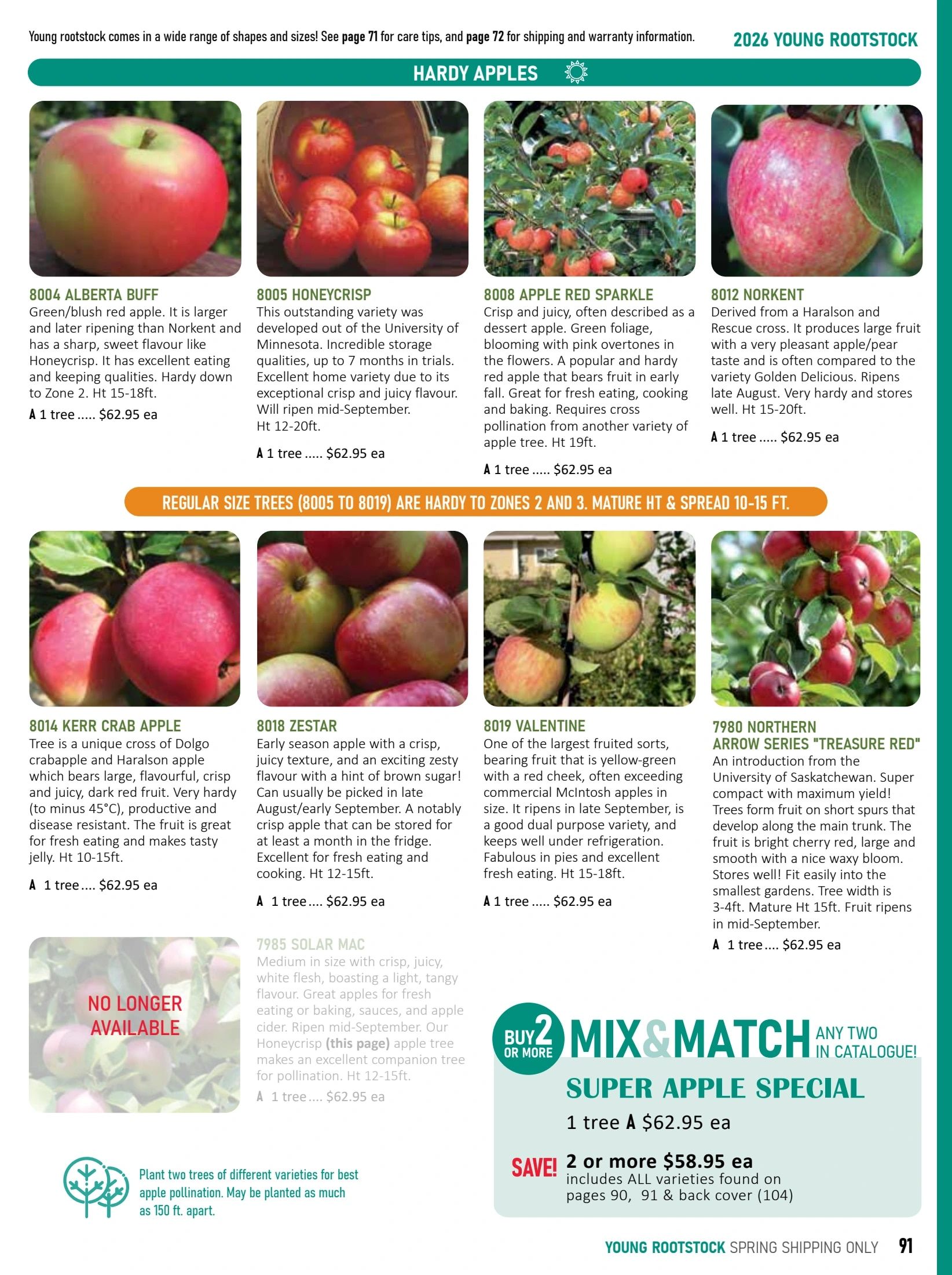 T&T Seeds Catalogue Flyer January 1 - December 31, 2026