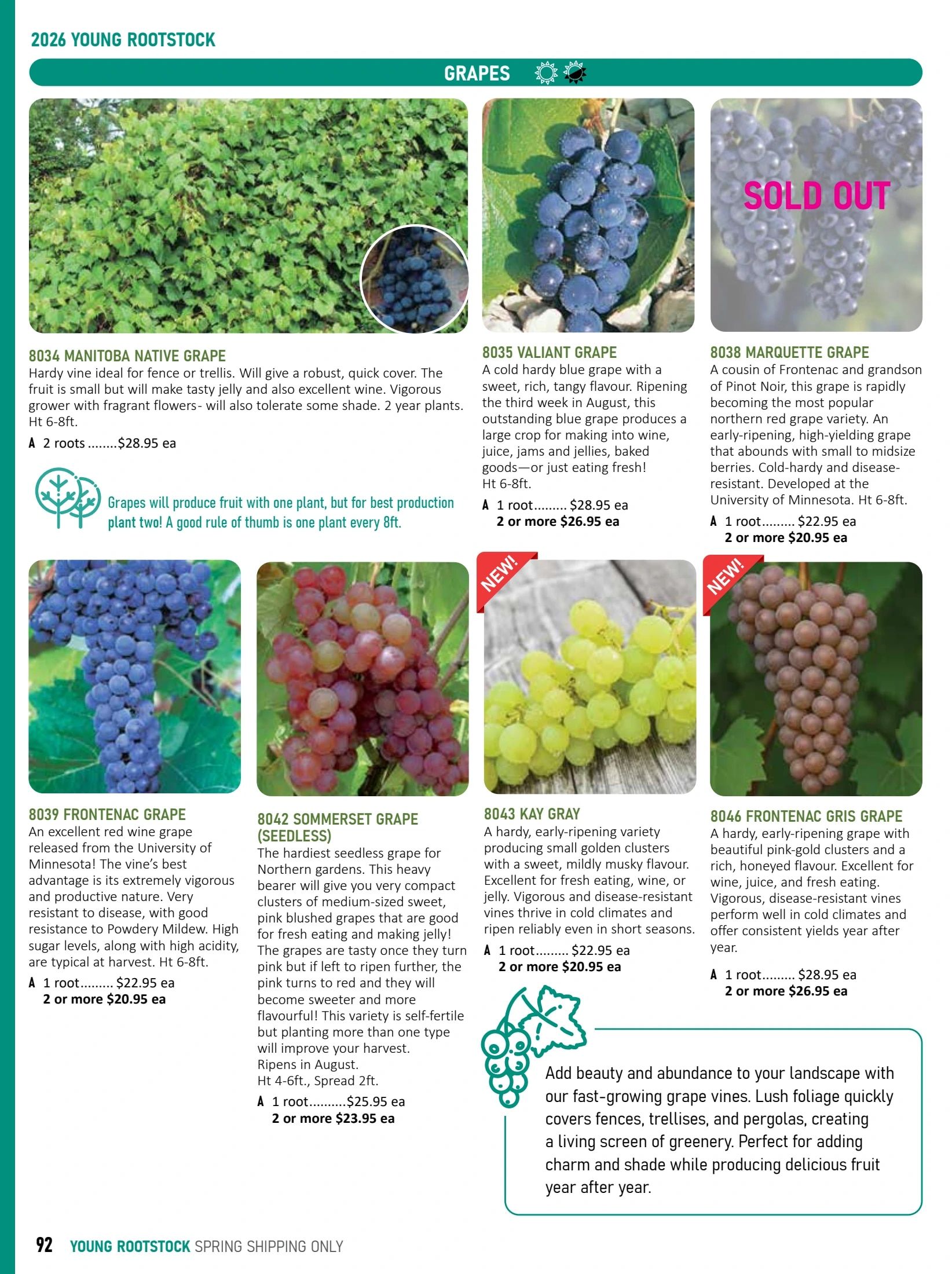 T&T Seeds Catalogue Flyer January 1 - December 31, 2026