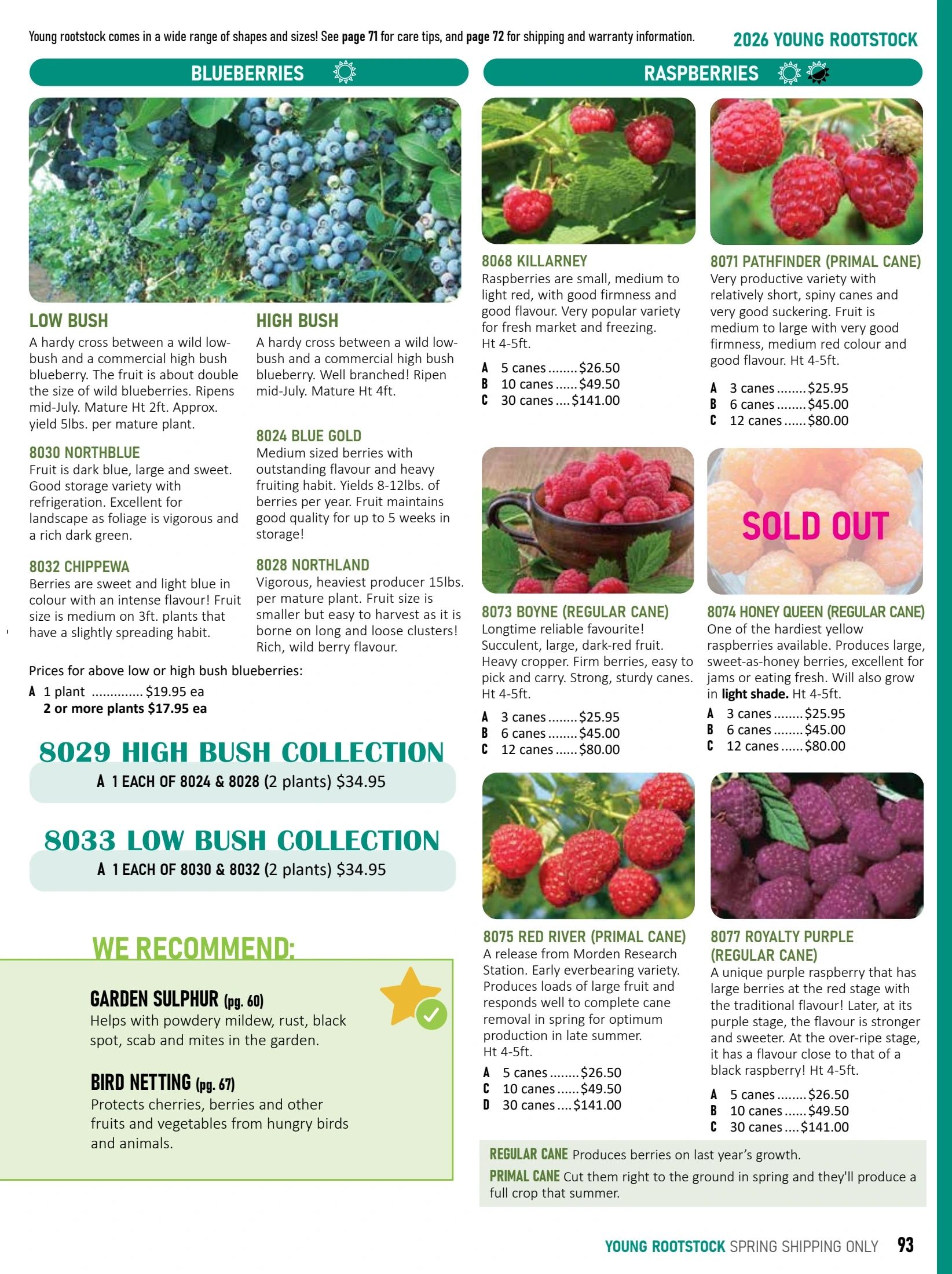 T&T Seeds Catalogue Flyer January 1 - December 31, 2026