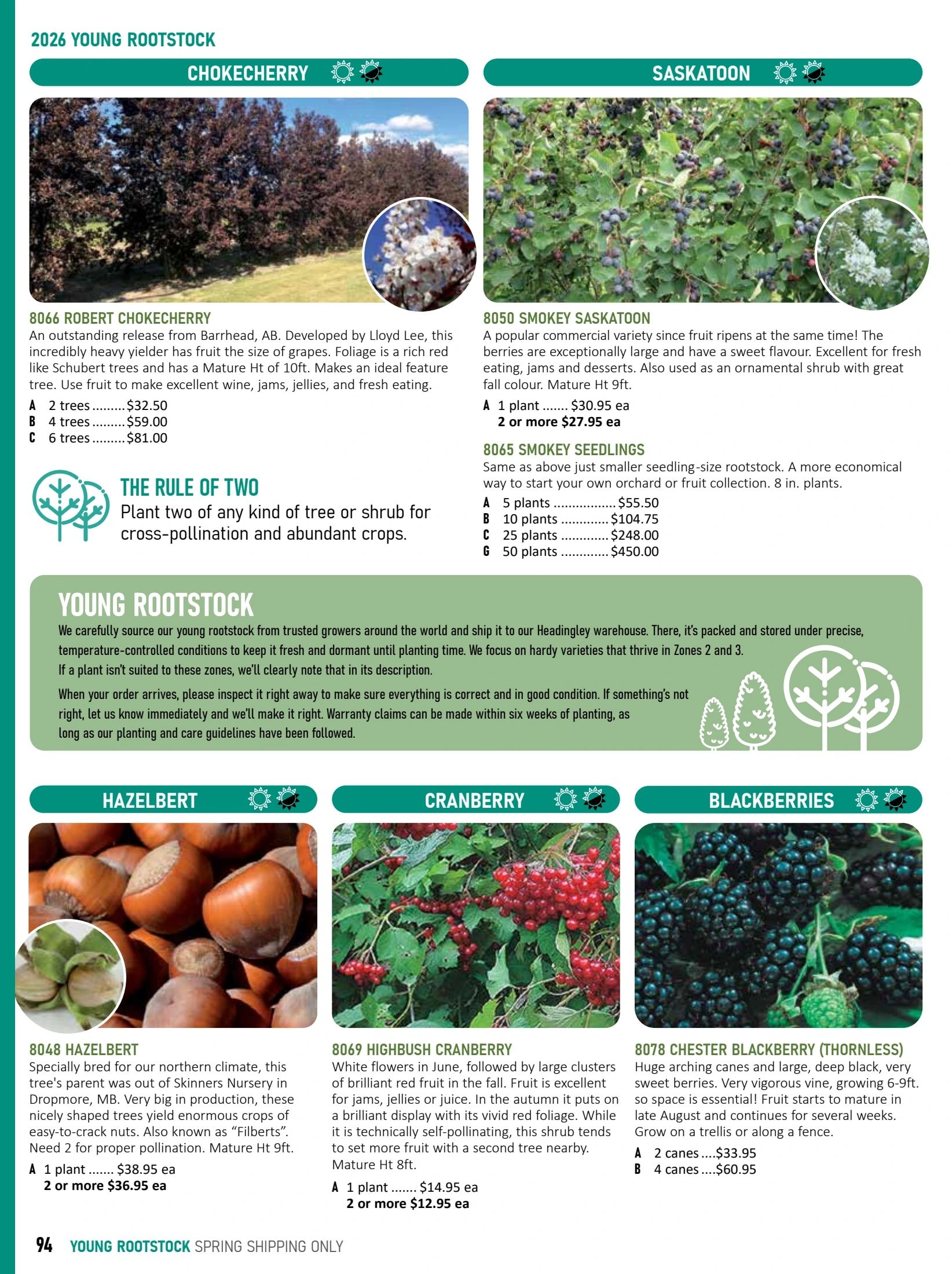 T&T Seeds Catalogue Flyer January 1 - December 31, 2026