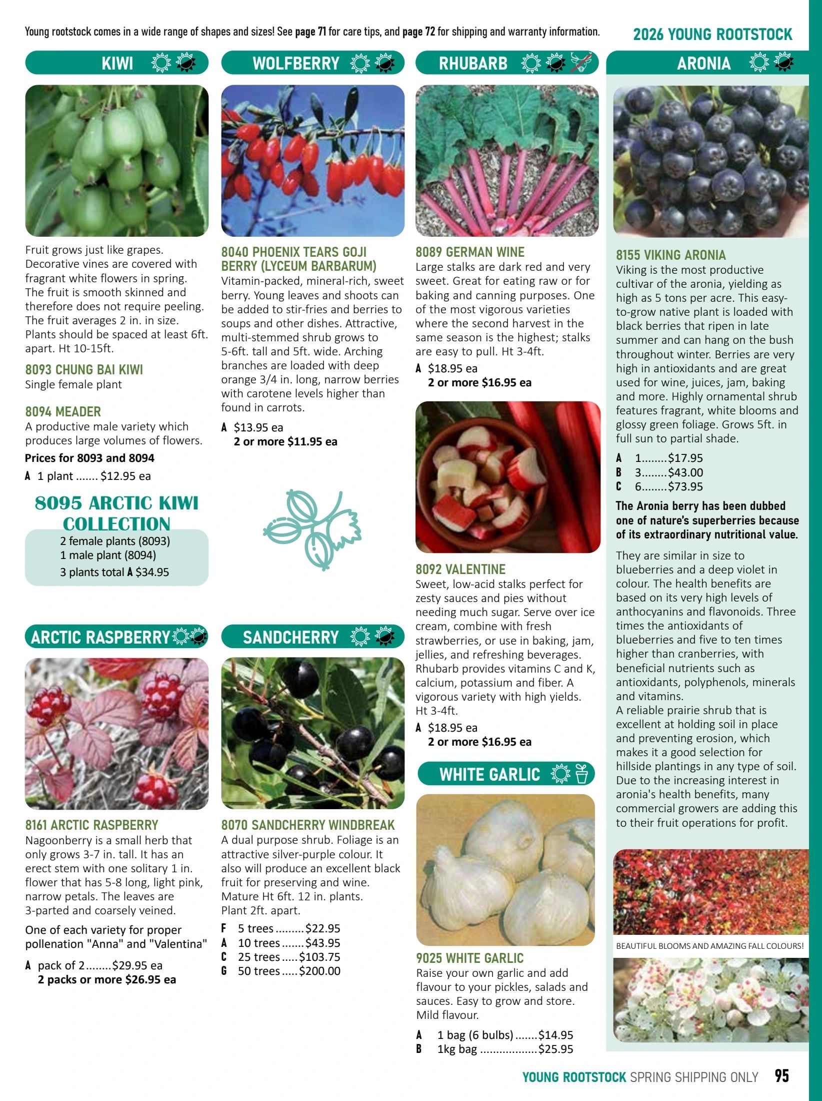 T&T Seeds Catalogue Flyer January 1 - December 31, 2026