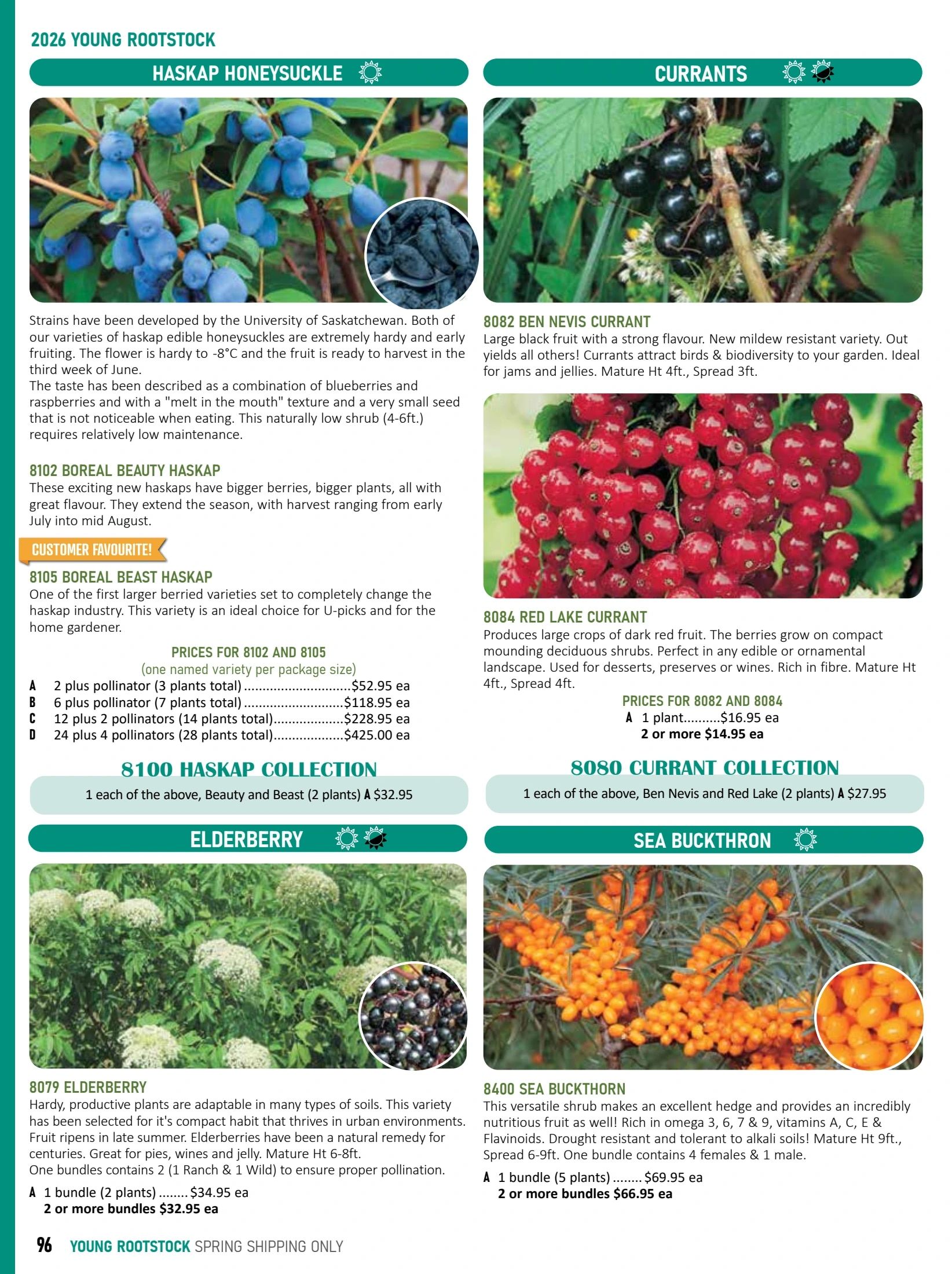 T&T Seeds Catalogue Flyer January 1 - December 31, 2026