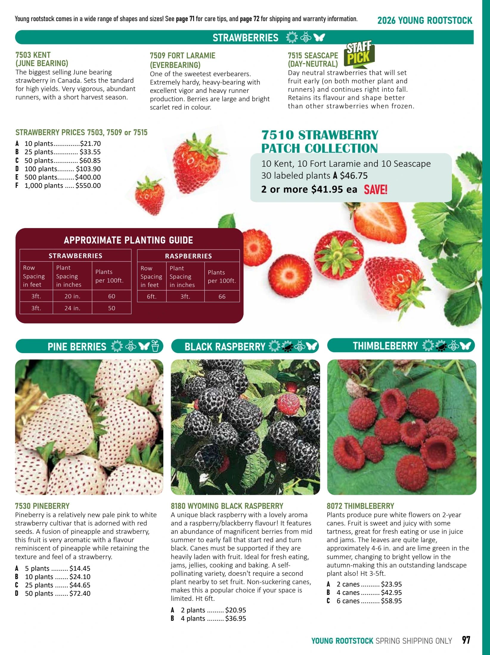 T&T Seeds Catalogue Flyer January 1 - December 31, 2026