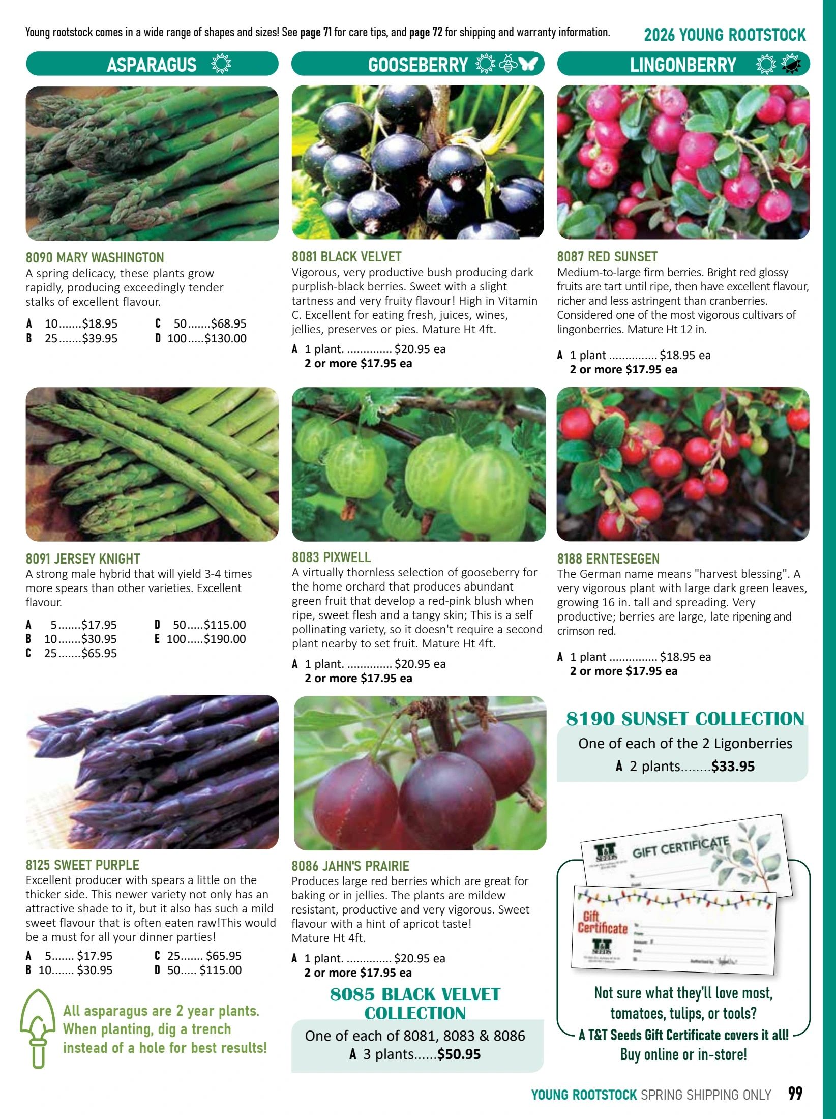 T&T Seeds Catalogue Flyer January 1 - December 31, 2026