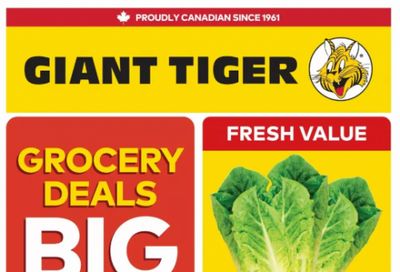 Giant Tiger Canada Flyer Deals August 26th – September 1st