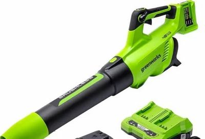 Amazon.ca: Greenworks 48V Brushless Cordless Leaf Blower (140 MPH / 585 CFM) $176.89