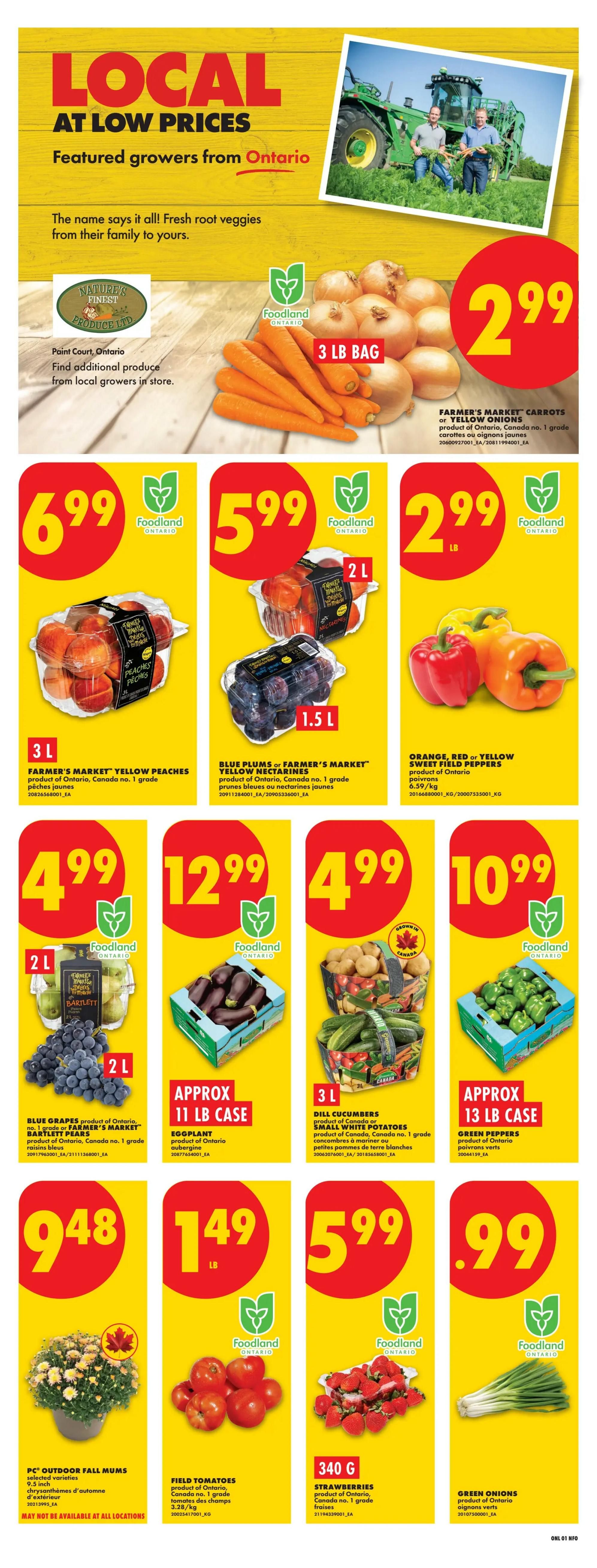 No Frills (ON) Flyer August 27 to September 2