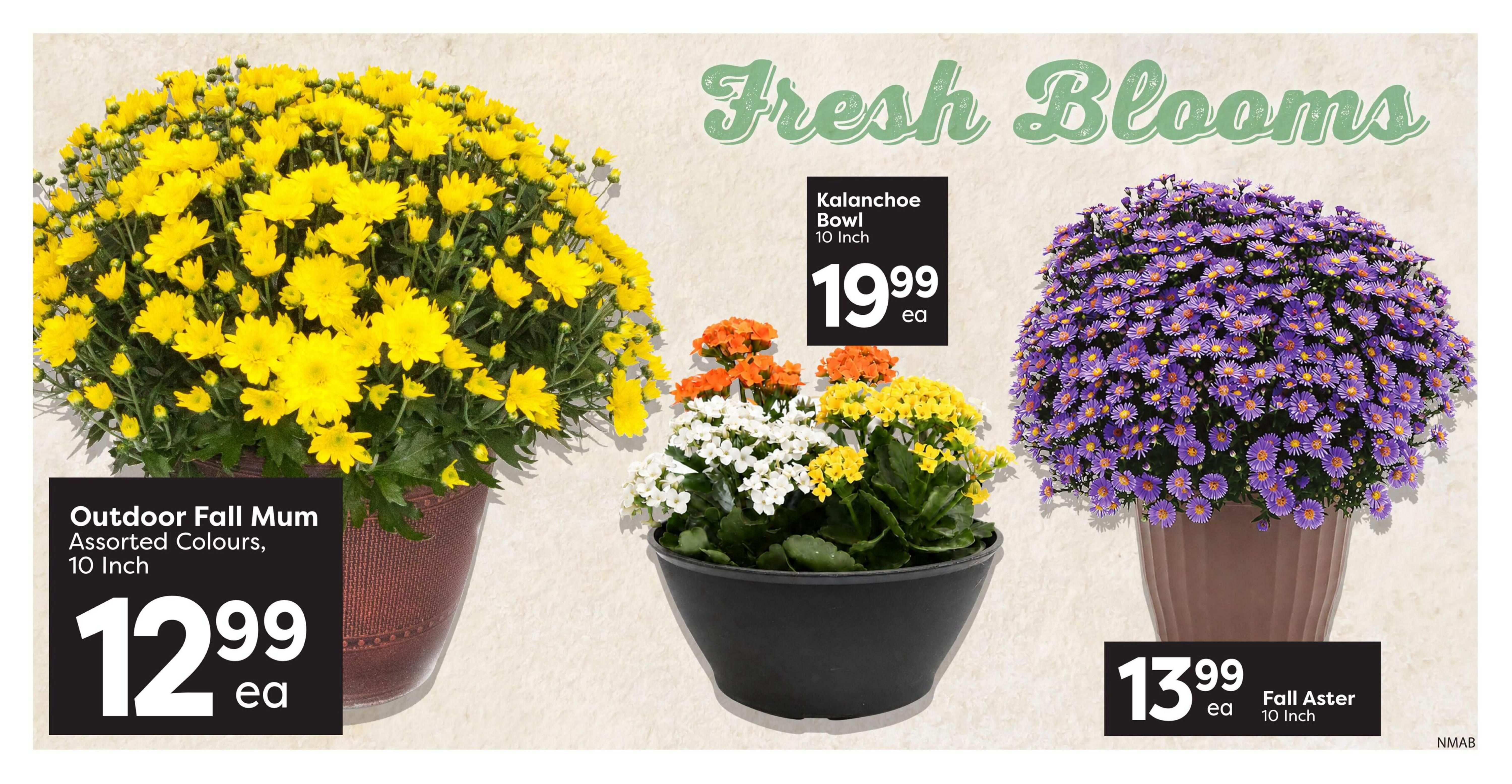Nesters Market Flyer August 27 to September 2