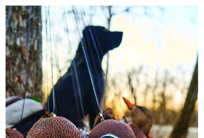 Cabela's Waterfowl Catalogue August 27 to September 23
