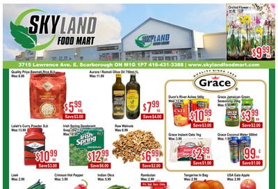 Skyland Food Mart Flyer August 28 to September 3