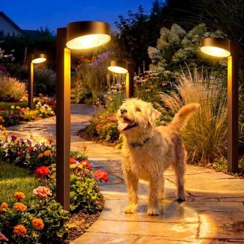 Amazon.ca: VOLISUN 8-Pack Solar Pathway Lights Amazon.ca: VOLISUN 8-Pack Solar Pathway Lights