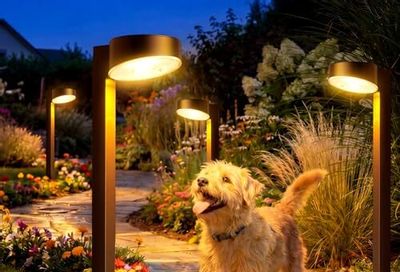 Amazon.ca: VOLISUN 8-Pack Solar Pathway Lights