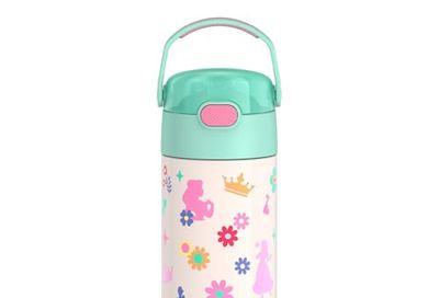 THERMOS FUNTAINER Water Bottle with Straw, 14oz, Princess