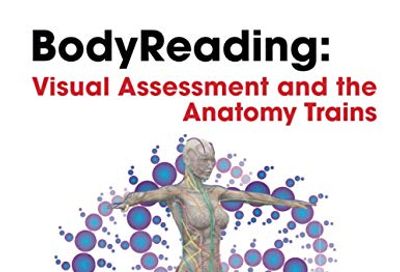 BodyReading: Visual Assessment and the Anatomy Trains