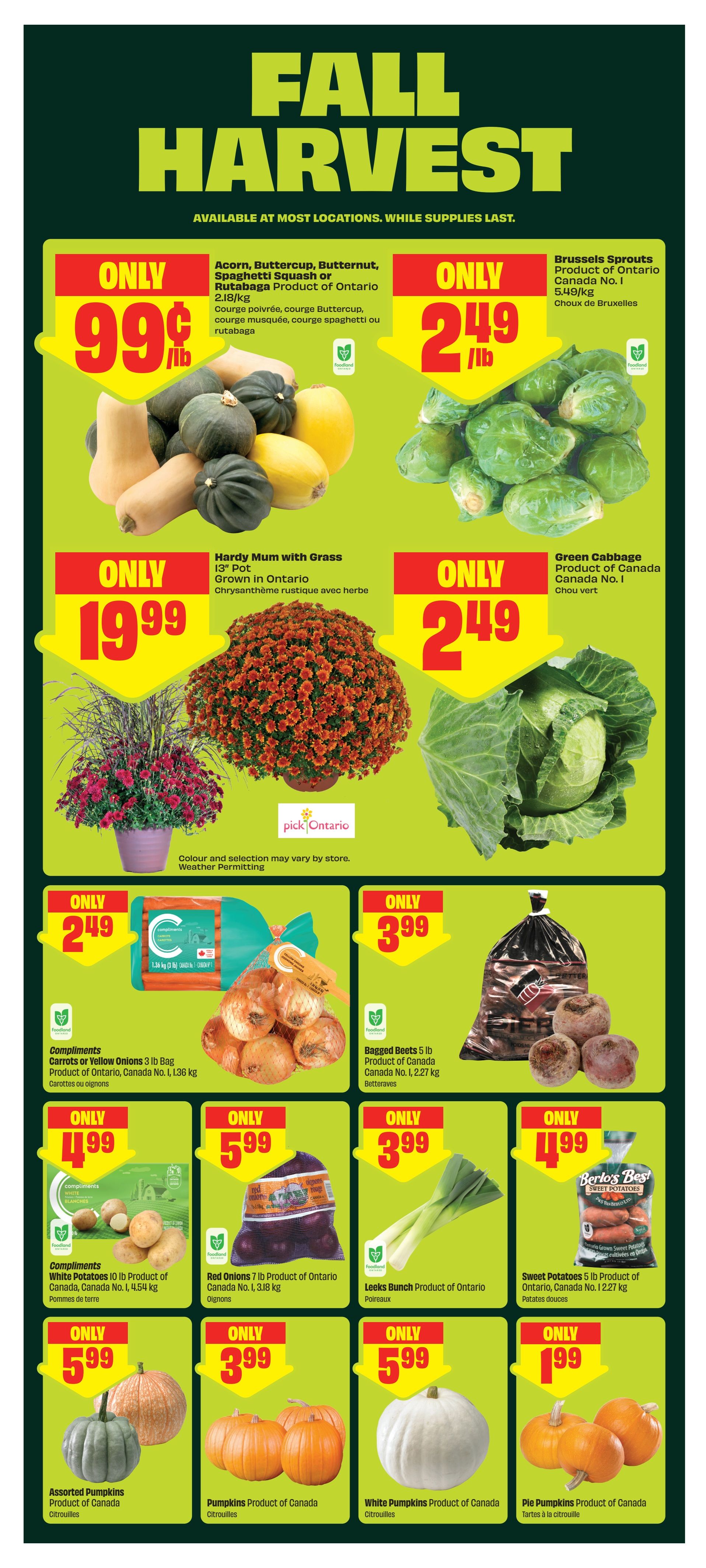 Chalo! FreshCo (ON) Flyer September 17 to 23