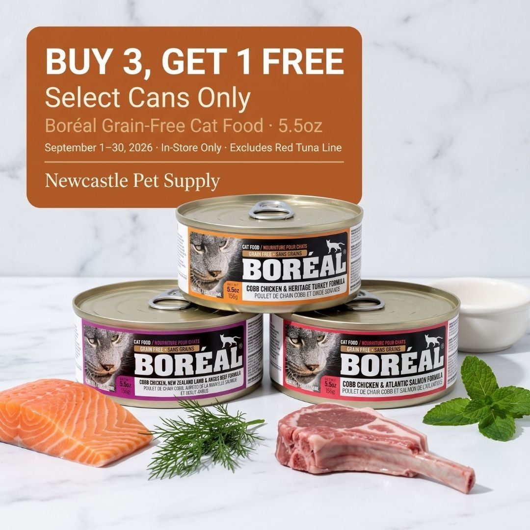 Newcastle Pet Supply Monthly Deals Flyer September 1 - 30, 2026