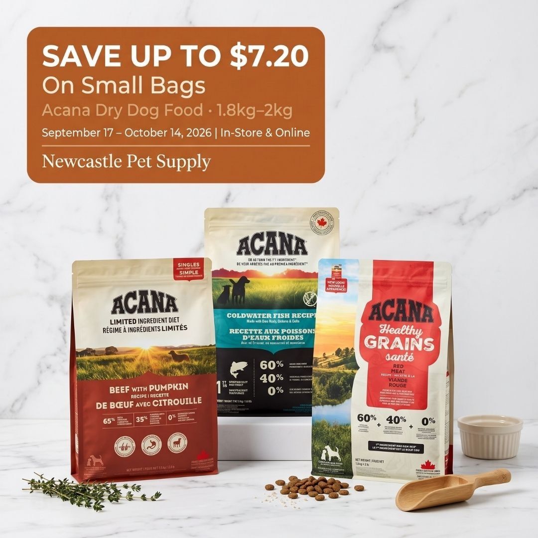 Newcastle Pet Supply Monthly Deals Flyer September 1 - 30, 2026