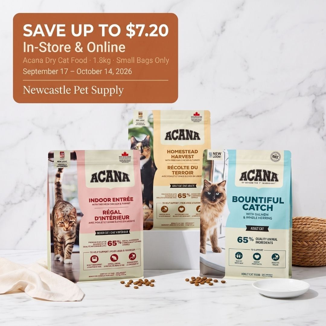Newcastle Pet Supply Monthly Deals Flyer September 1 - 30, 2026