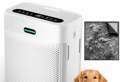 Amazon.ca: Large Room H13 HEPA Air Purifier up to 3,000 sq ft - $69.99, was $139.99
