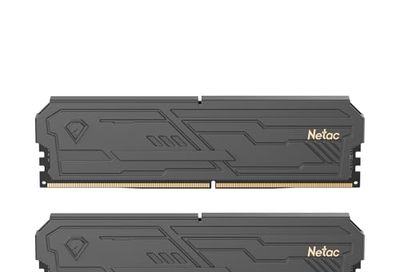 Netac DDR4 DRAM 32GB Kit (2x16GB) 3200MHz XMP 2.0 Dual Channel RAM CL16 (PC4-25600) 1.35V 288-Pin Upgraded Aluminum Heat Sink Ideal for Gaming Computer Upgrade - Shadow III Series