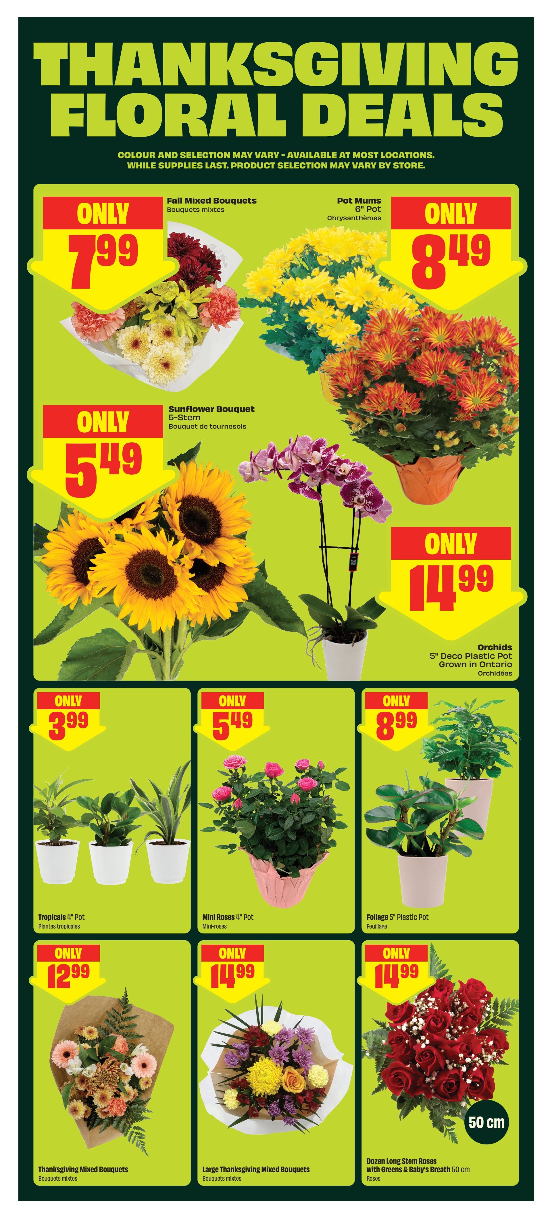 Chalo! FreshCo (ON) Flyer October 8 to 14