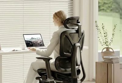 Amazon.ca: FLEXISPOT ErgoX Premium Ergonomic Office Chair Black-FT - $263.99