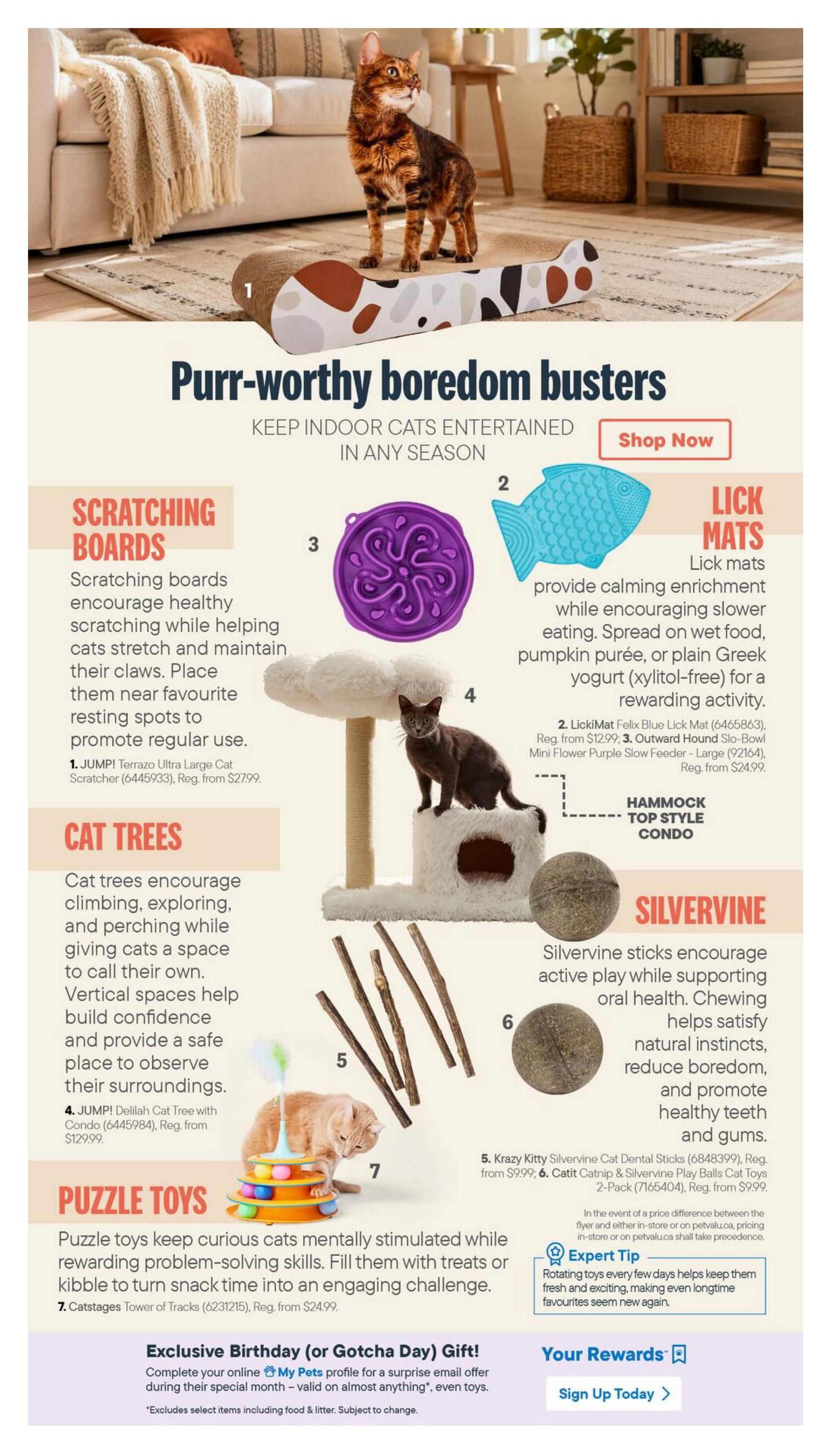 Total Pet Monthly LookBook October 1 to 31