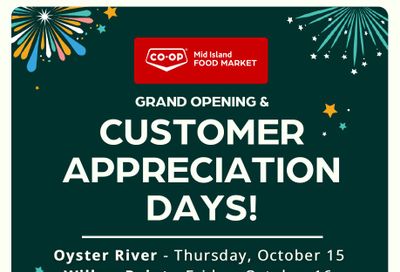 Discovery Foods Flyer October 11 to 17