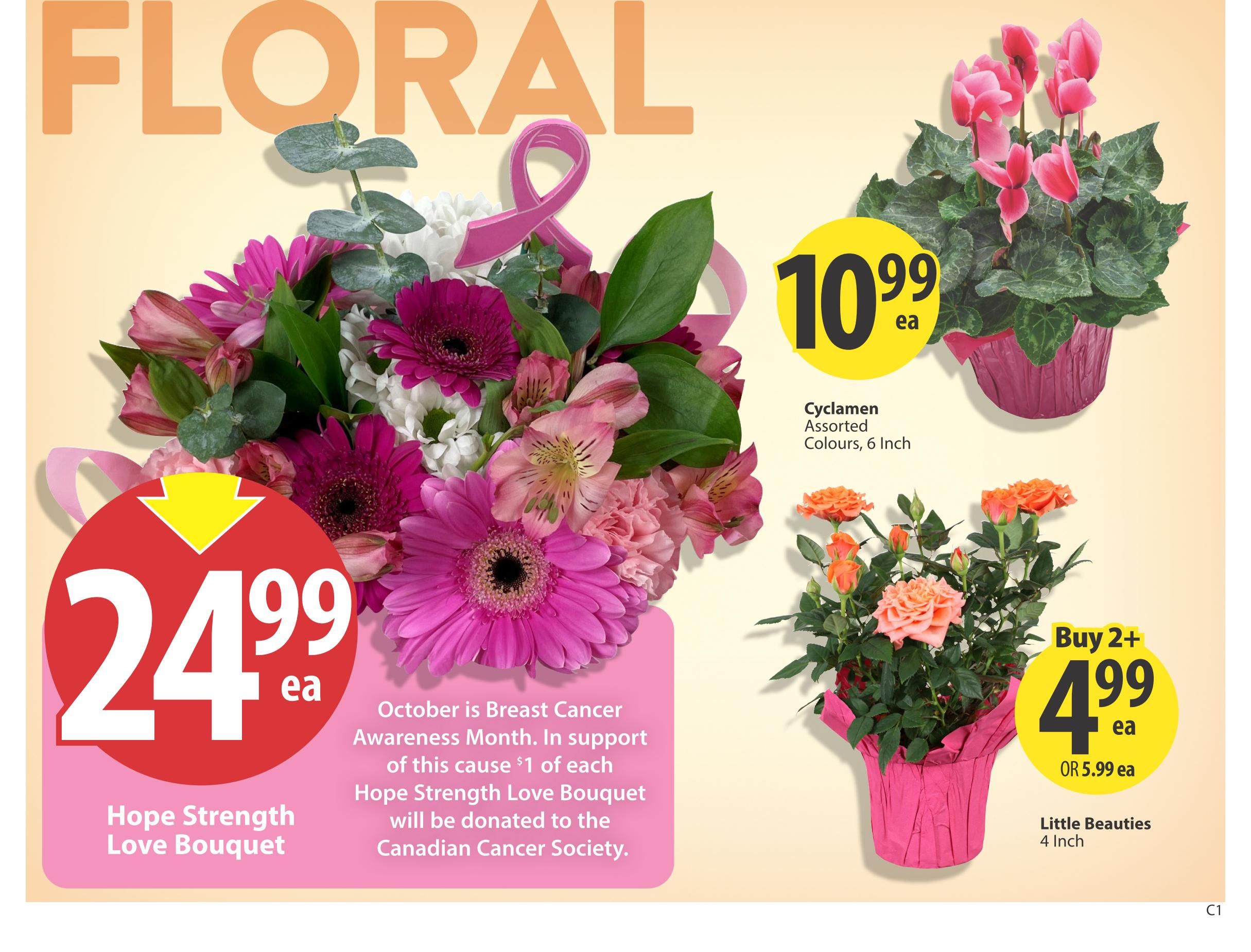 Save On Foods (SK) Flyer October 15 to 21