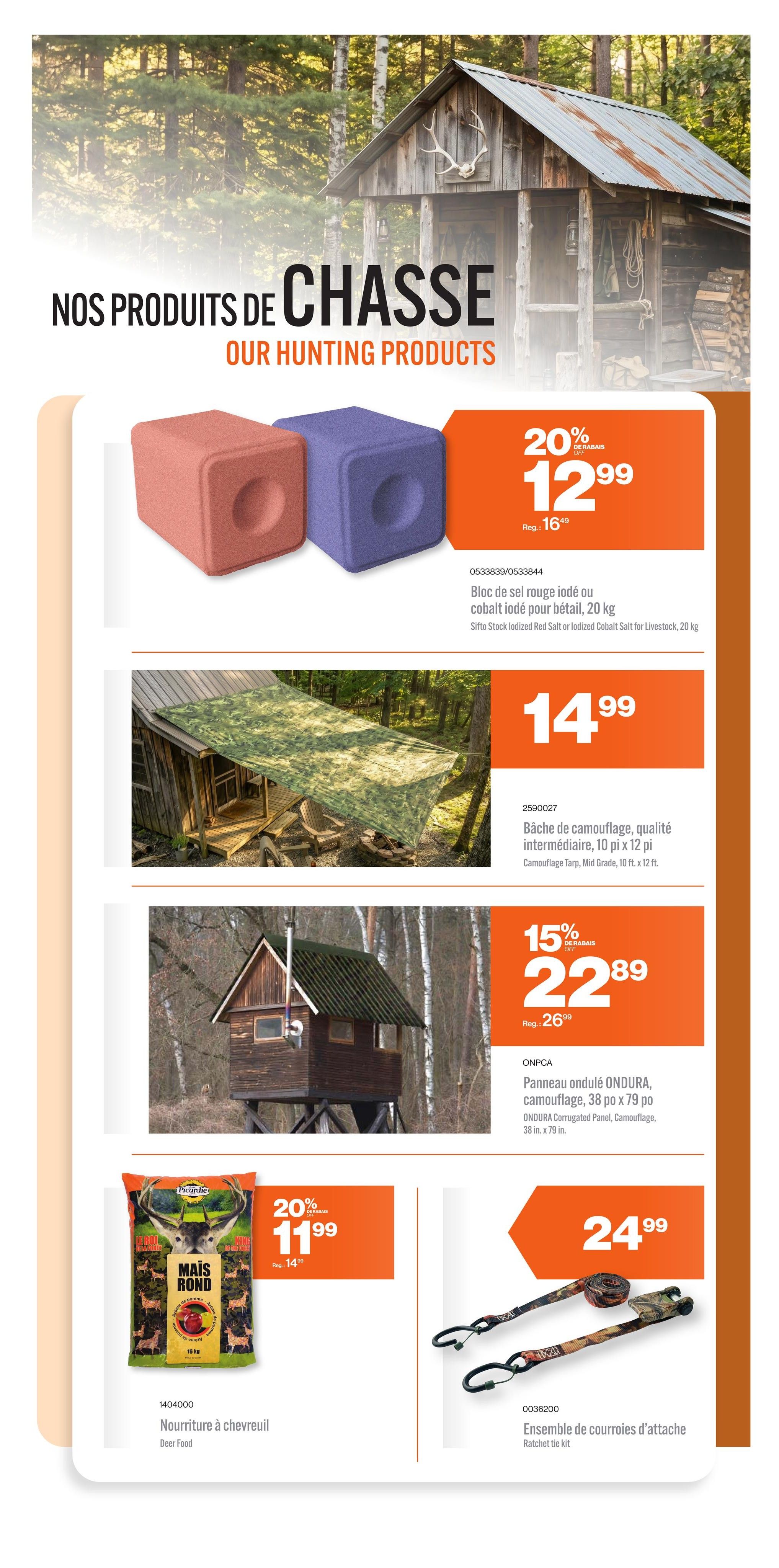 Patrick Morin Flyer October 15 to 21