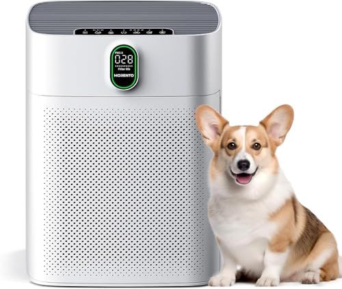 MORENTO Air Purifiers Large Room Bedroom Home Up to 1076 Sq Ft, White | HEPA Filter Remove Smoke, PM2.5 Air Quality Monitor, Double-sided Air Inlet for Pet Hair Odor, 24dB Sleep Mode, Timer, HY4866 MORENTO Air Purifiers Large Room Bedroom Home Up to 1076 Sq Ft, White | HEPA Filter Remove Smoke, PM2.5 Air Quality Monitor, Double-sided Air Inlet for Pet Hair Odor, 24dB Sleep Mode, Timer, HY4866