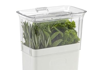 Cole & Mason H105159 Tealby Fresh Cut Herb Keeper, Herb Pot/Storage/Herb Saver/Box, Acrylic, Includes Removable Dividers, 2 Year Guarantee,White/Clear (H) 230mm x (W) 185mm x (D) 120mm