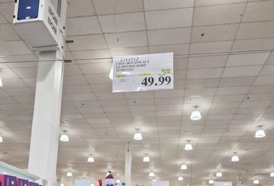 Costco: Lego Hanging Golden Pothos