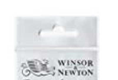 Winsor & Newton Foundation Oil Hog Brush Set, Long Handle, 6 Pack
