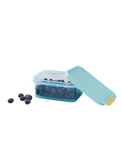 LocknLock HFL101 Freezer-Fit Food Storage Container, 450ml, BPA-Free, Airtight