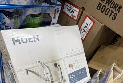 Princess Auto: Moen Adler faucet with sprayer - $34.99