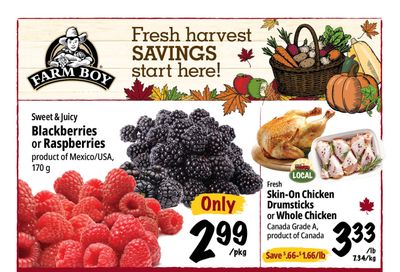Farm Boy (Rest Of ON) Flyer October 22 to 28
