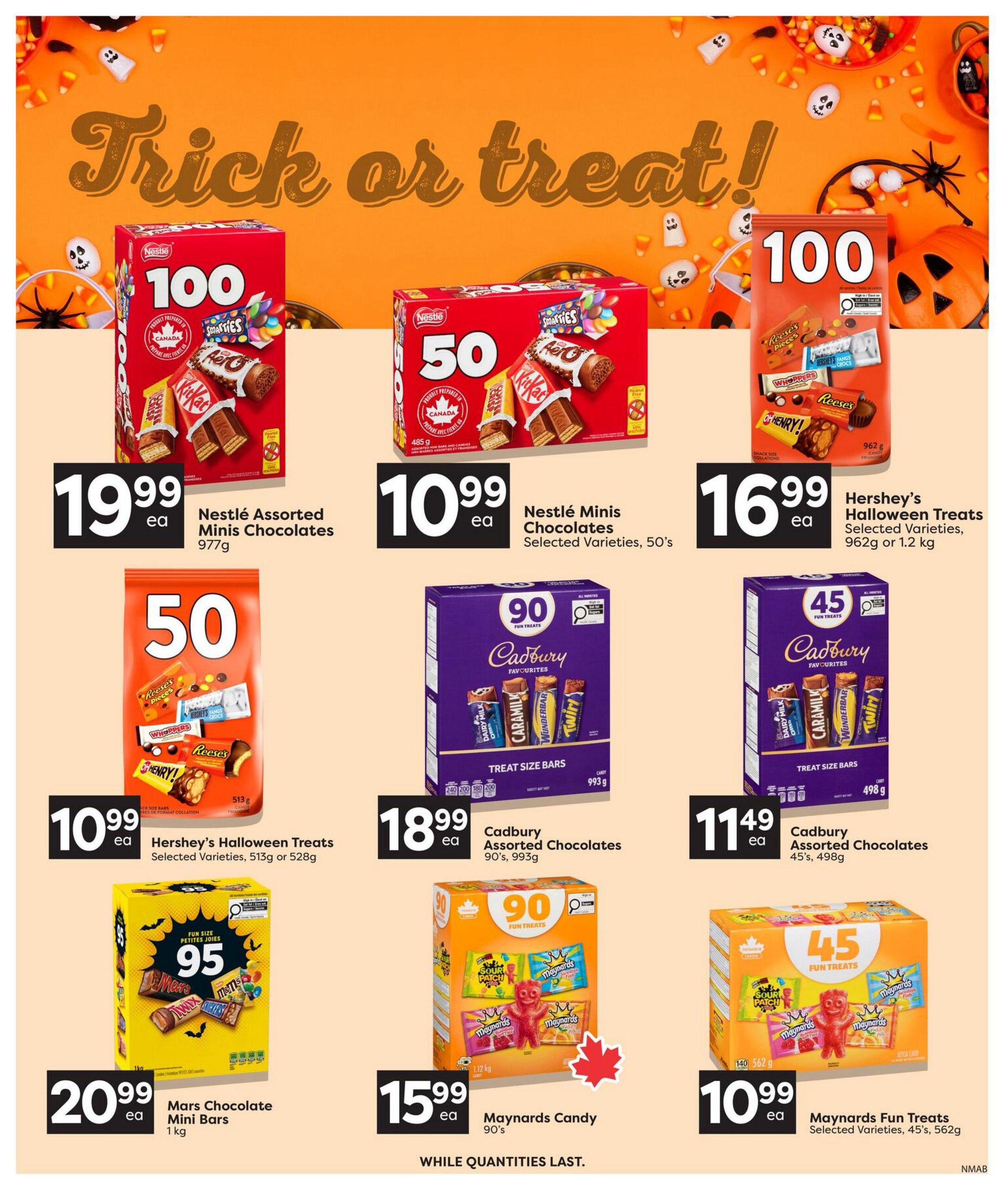 Nesters Market Flyer October 22 to 28