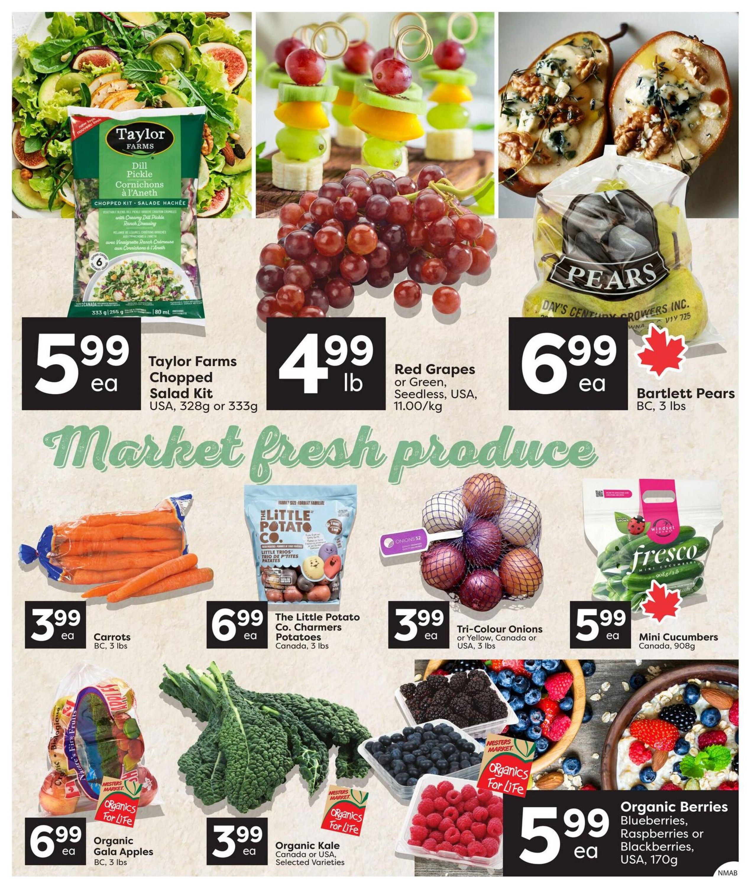 Nesters Market Flyer October 22 to 28