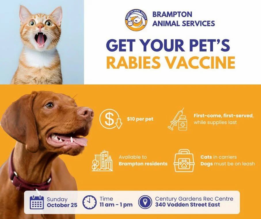 Brampton Animal services: $10 Rabies shot Dog and Cats Brampton residents only Brampton Animal services: $10 Rabies shot Dog and Cats Brampton residents only