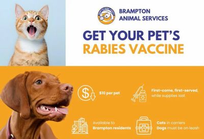 Brampton Animal services: $10 Rabies shot Dog and Cats Brampton residents only