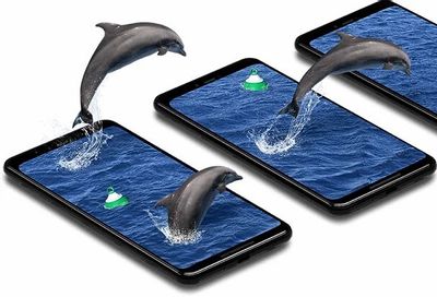 Fizz Mobile 25% off plans for 24 months ($26.25/100gb, $22.50/35gb)