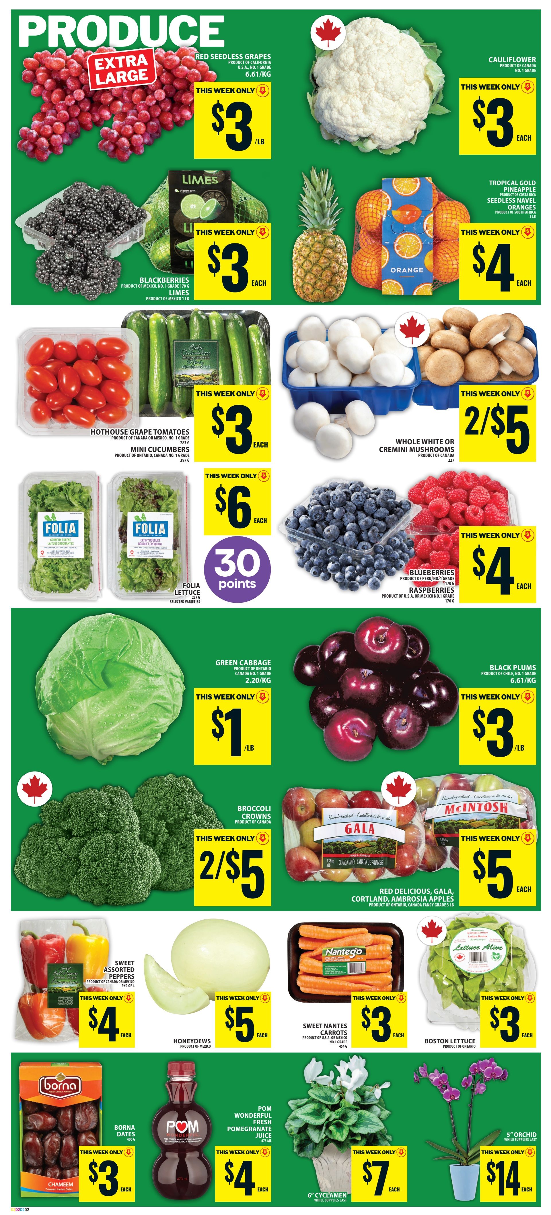 Food Basics Flyer October 29 to November 4