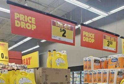 No Frills: Two-Ply Tough Paper Yard Waste Bags (5 bags)
